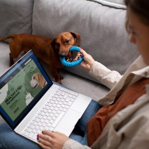 Pet Playtime Ideas