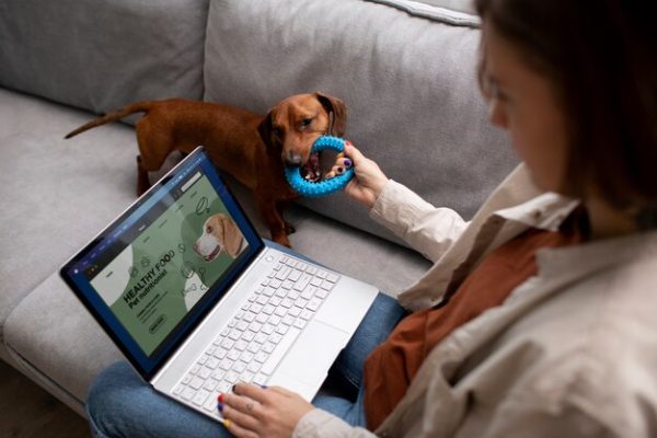 Pet Playtime Ideas