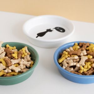 Basic Pet Feeding Tips