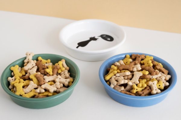 Basic Pet Feeding Tips