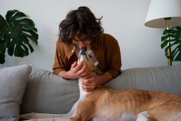 Understanding Pet Feelings